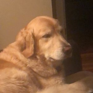 Meet your Posher, Michele